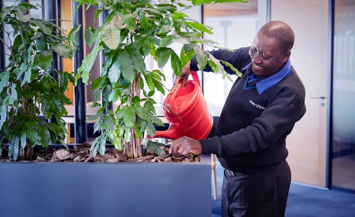 plant service